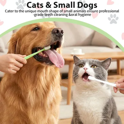 Lot 4 brosses à dents chien chat – Poils souples – Blanc/vert Lot 4 brosses à dents chien chat – Poils souples – Blanc/vert