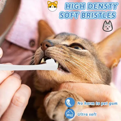 HausPets Lote 2 cepillos mini suaves perro gato – Azul/verde HausPets Lote 2 cepillos mini suaves perro gato – Azul/verde