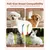 Brosse à dents double tête pour chien et chat Brosse à dents double tête pour chien et chat