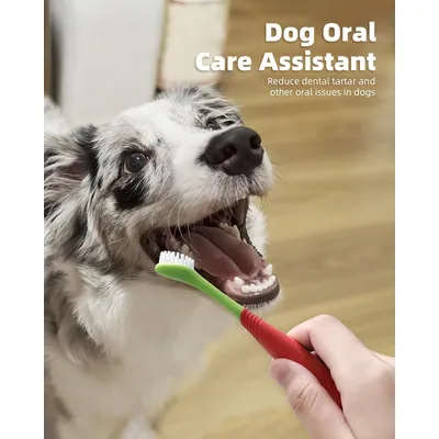 Brosse à dents double tête pour chien et chat Brosse à dents double tête pour chien et chat