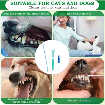 Lot de 8 Ensemble de brosses à dents pour chiens et chats Lot de 8 Ensemble de brosses à dents pour chiens et chats