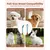 HausPets 2 cepillos dobles para perros – Limpieza 360° – Azul HausPets 2 cepillos dobles para perros – Limpieza 360° – Azul
