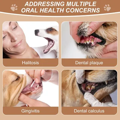 Set de brosses à dents pour animaux