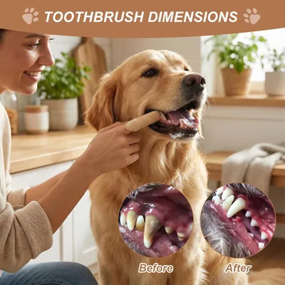Set de brosses à dents pour animaux