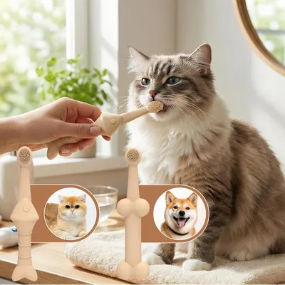 Set de brosses à dents pour animaux
