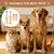 Set de brosses à dents pour animaux