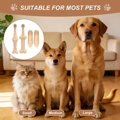 Set de brosses à dents pour animaux