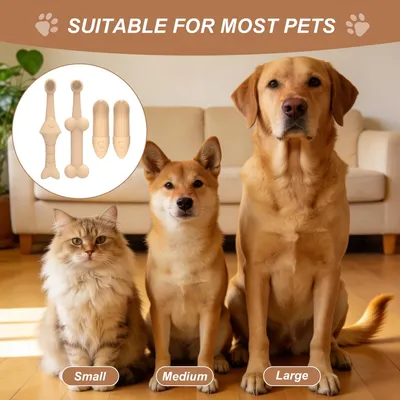 HausPets Juego de cepillos de dientes para mascotas HausPets Juego de cepillos de dientes para mascotas