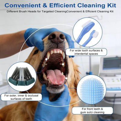 HausPets 8 cepillos dentales perro – Triple cabeza + dedos