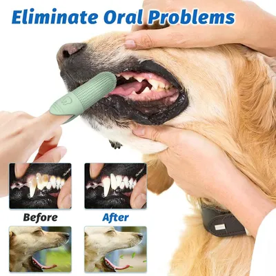 Brosse à dents chien – Kit nettoyage dentaire 360° Brosse à dents chien – Kit nettoyage dentaire 360°
