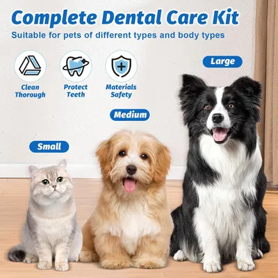Brosse à dents chien – Kit nettoyage dentaire 360° Brosse à dents chien – Kit nettoyage dentaire 360°
