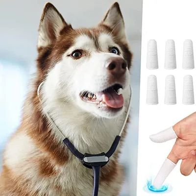 Set mit 6 Fingerzahnbürsten