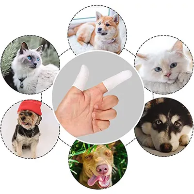 Set mit 6 Fingerzahnbürsten