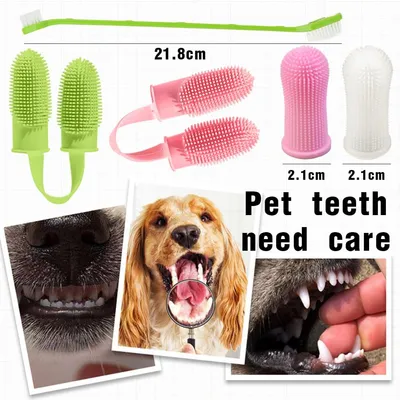 Ensemble de brosses à dents pour chien et chat Ensemble de brosses à dents pour chien et chat