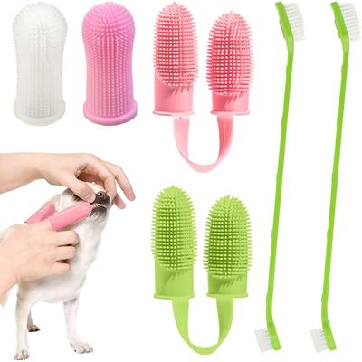 Ensemble de brosses à dents pour chien et chat