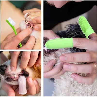 Ensemble de brosses à dents pour chien et chat Ensemble de brosses à dents pour chien et chat