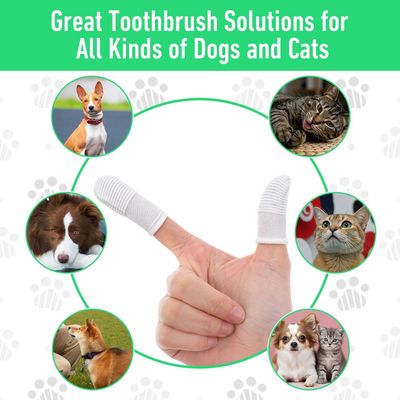 HausPets Paquete de 30 cepillos de dientes para perros y gatos