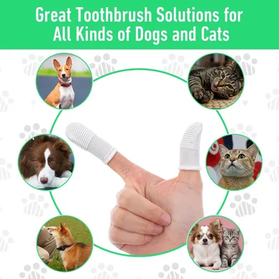 Lot de 30 brosses à dents pour chiens et chats Lot de 30 brosses à dents pour chiens et chats