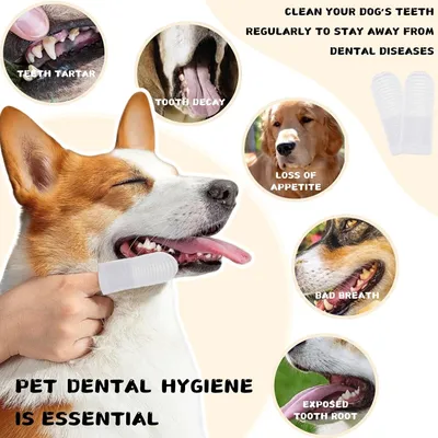 HausPets 30 cepillos dedo 360° perro gato – Blanco