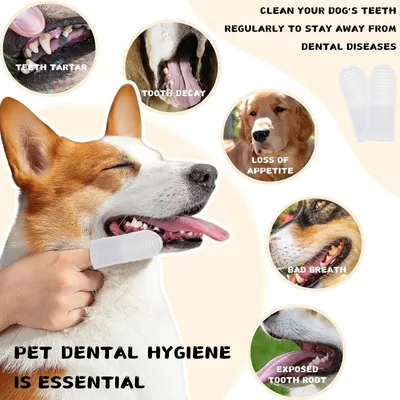 30 brosses à doigts 360° chien chat – Anti-plaque – Blanc 30 brosses à doigts 360° chien chat – Anti-plaque – Blanc