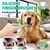 2 brosses à dents chien – Silicone durable – Design 360° 2 brosses à dents chien – Silicone durable – Design 360°