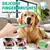 HausPets 2 cepillos dentales perro silicona 360° duradero HausPets 2 cepillos dentales perro silicona 360° duradero