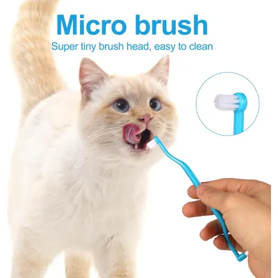 Brosse à dents double face pour chat