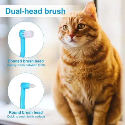 Brosse à dents double face pour chat