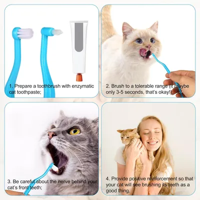 Brosse à dents double face pour chat