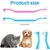 Brosse à dents double face pour chat