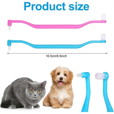 Brosse à dents double face pour chat