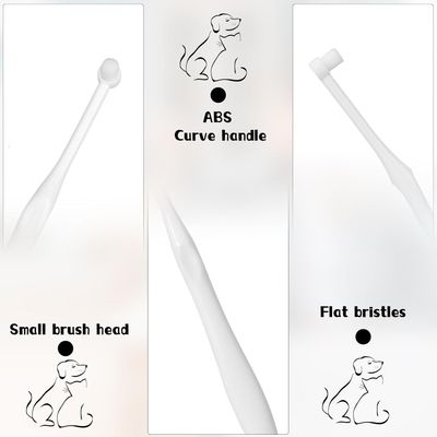 HausPets Juego de 3 cepillos de dientes para perros y gatos