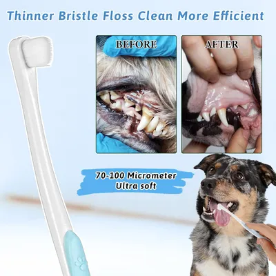 Lot de 2 brosses à dents pour chiens et chats Lot de 2 brosses à dents pour chiens et chats