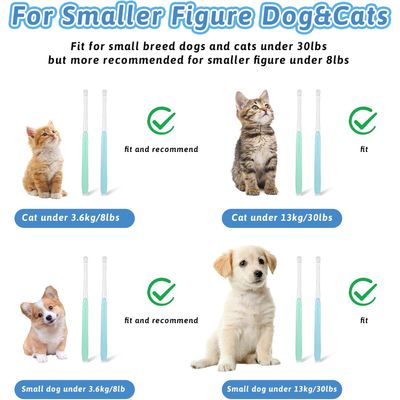 Lot de 2 brosses à dents pour chiens et chats