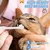Lot de 2 brosses à dents pour chiens et chats Lot de 2 brosses à dents pour chiens et chats