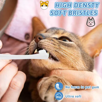 Lot de 2 brosses à dents pour chiens et chats Lot de 2 brosses à dents pour chiens et chats
