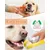 Lot 6 brosses à dents chien – 3 triple tête + 3 doigts Lot 6 brosses à dents chien – 3 triple tête + 3 doigts