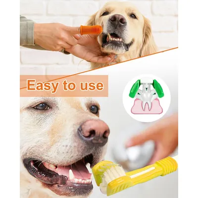 Lot 6 brosses à dents chien – 3 triple tête + 3 doigts Lot 6 brosses à dents chien – 3 triple tête + 3 doigts