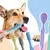 Brosse à dents double tête pour chiens et chats,bleu Brosse à dents double tête pour chiens et chats,bleu