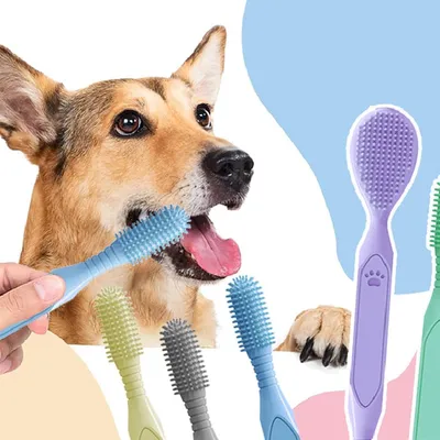 Brosse à dents double tête pour chiens et chats,bleu Brosse à dents double tête pour chiens et chats,bleu