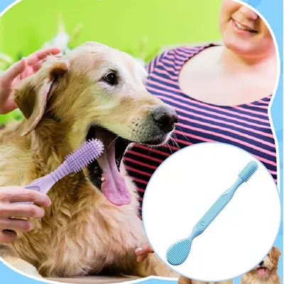 Brosse à dents double tête pour chiens et chats,bleu Brosse à dents double tête pour chiens et chats,bleu