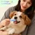 Ensemble de brosses à dents en silicone pour chiens et chats Ensemble de brosses à dents en silicone pour chiens et chats