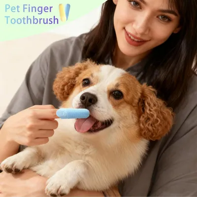 Ensemble de brosses à dents en silicone pour chiens et chats Ensemble de brosses à dents en silicone pour chiens et chats