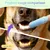Ensemble de brosses à dents en silicone pour chiens et chats Ensemble de brosses à dents en silicone pour chiens et chats