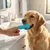 4 brosses à doigts silicone chien chat – Boîte rangement 4 brosses à doigts silicone chien chat – Boîte rangement