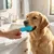 HausPets cepillos de dedo de silicona para perros y gatos