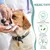 8 brosses à dents chien chat – Nettoyant pour dents 8 brosses à dents chien chat – Nettoyant pour dents