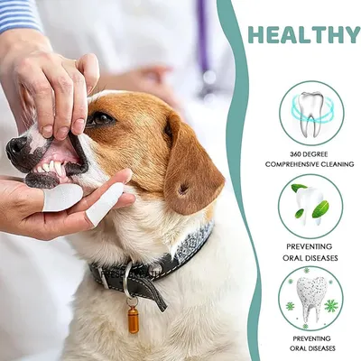 8 brosses à dents chien chat – Nettoyant pour dents 8 brosses à dents chien chat – Nettoyant pour dents
