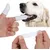 8 brosses à dents chien chat – Nettoyant pour dents 8 brosses à dents chien chat – Nettoyant pour dents