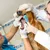 6 brosses à dents chien – 4 couleurs – Silicone souple 360° 6 brosses à dents chien – 4 couleurs – Silicone souple 360°